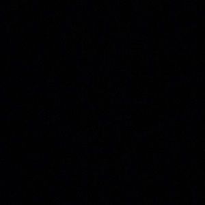 Meet your Posher, Daisy